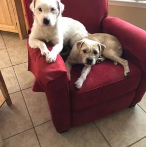 Meet your Posher, Roberta